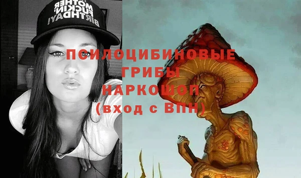 тгк Абдулино