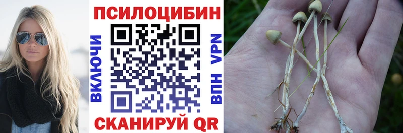 Галлюциногенные грибы Psilocybine cubensis Щучье