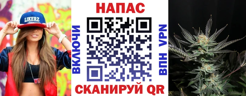 Бошки Шишки конопля  купить наркотики цена  блэк спрут как зайти  Щучье 